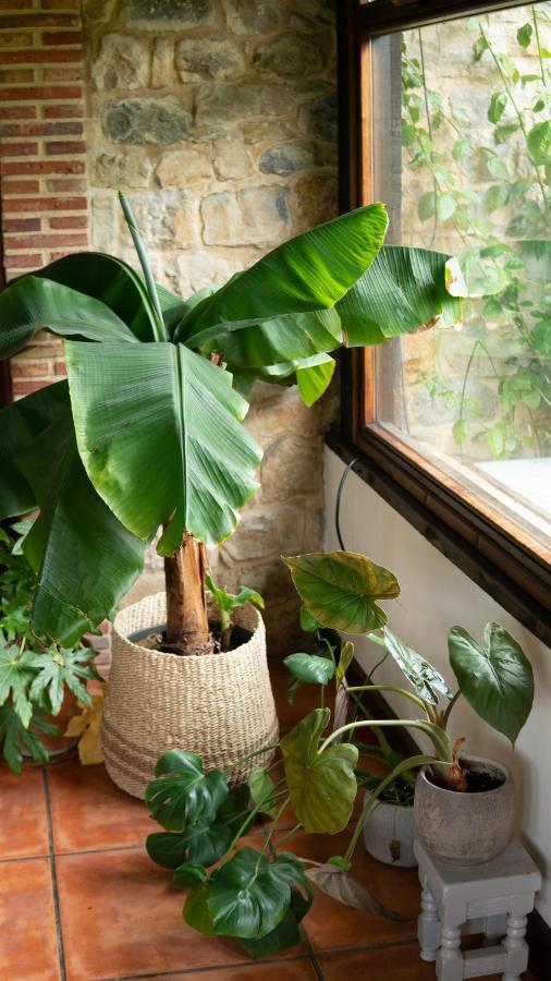 Casa 'Ohana Rioturbio 外观 照片